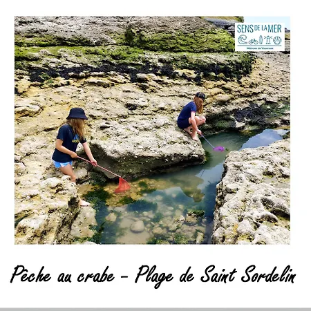 Maison 2 En Bord De Mer-jardin & Animaux Acceptes, 400m De La Dom wakacyjny Vaux-sur-Mer