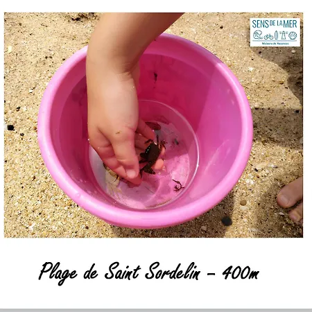 Maison 2 En Bord De Mer-jardin & Animaux Acceptes, 400m De La *