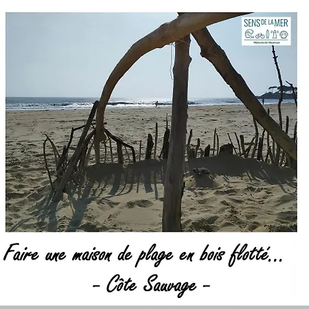 Maison 2 En Bord De Mer-jardin & Animaux Acceptes, 400m De La * Vaux-sur-Mer